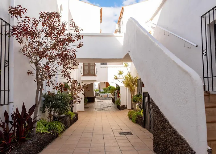 Amarilla Golf Fresa 圣米格尔德阿沃纳